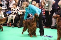 Crufts2011 441